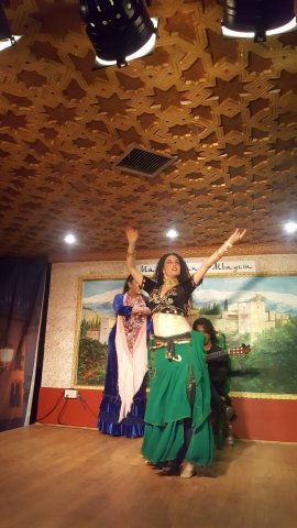 574 granada flamenco show